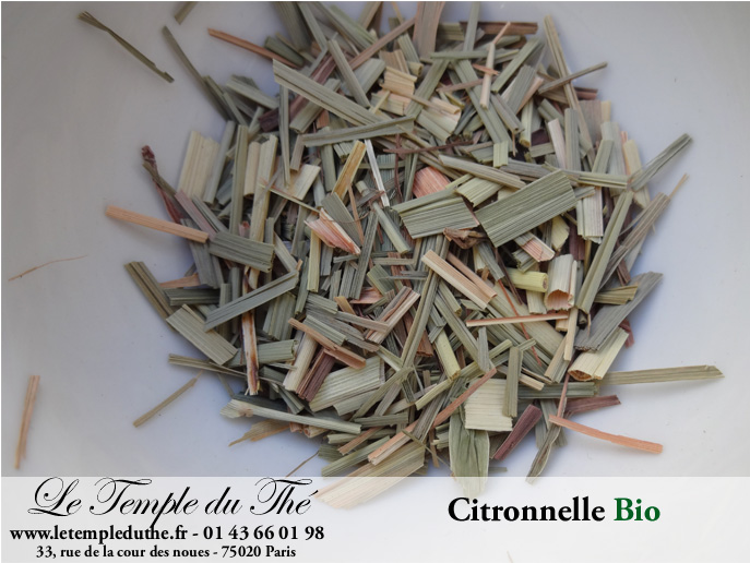 Citronnelle BIO – Image 2