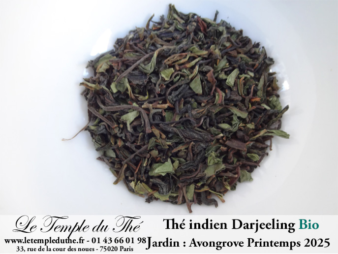 darjeeling-avongrove-2025-bio