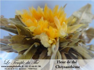 Fleur de thé Chrysanthème