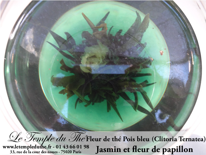 Fleur de thé ou thé sculpté jasmin et pois bleu – Image 3