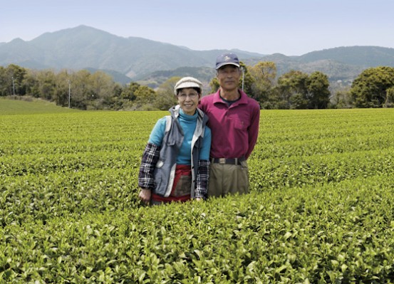 Thé vert du Japon BIO Bancha Yanagicha Printemps 2025 petits producteurs – Image 2