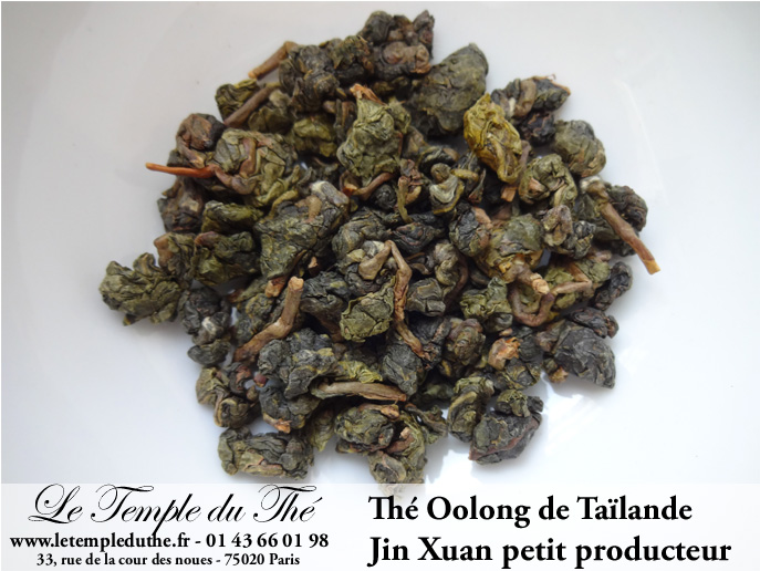 Thé Wulong (Oolong) de Thaïlande JIN XUAN petits producteurs printemps 2025