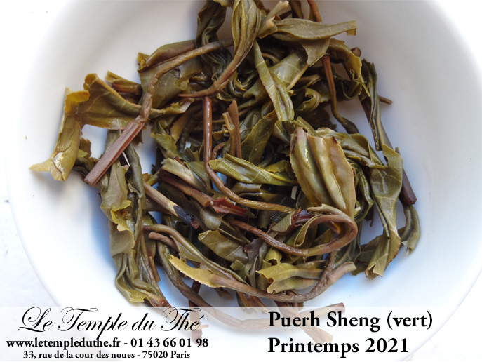 Puerh Sheng (vert) de Chine – Image 4