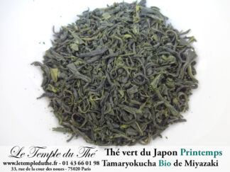 tamaryokucha-ombrage-bio-2025-the-vert-japonais