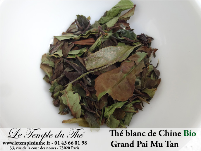 Thé blanc Paï Mu Tan BIO Printemps
