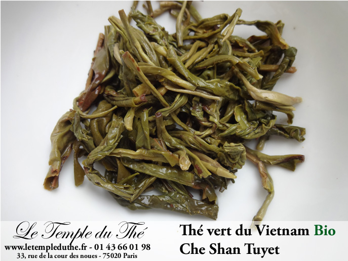 Thé vert du Vietnam BIO Che Shan Tuyet printemps 2025 – Image 2