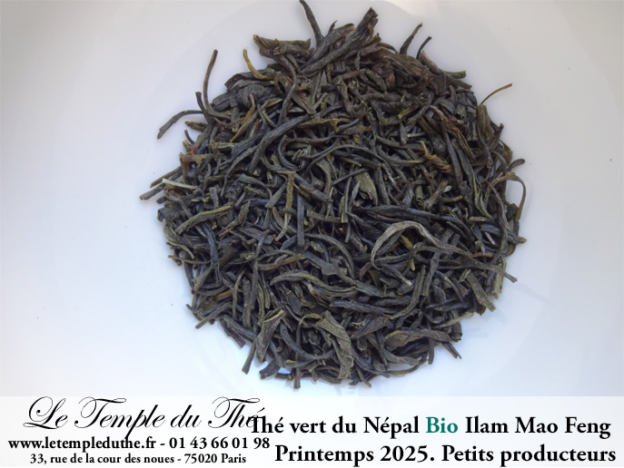 Thé vert du Népal de petits producteurs BIO ILAM MAO FENG 1ère récolte du printemps 2025