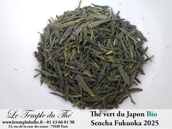 Thé vert bio du Japon Fukuoka 2025 Thé vert bio du Japon Fukuoka 2025