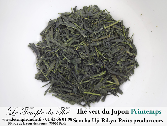 Thé du Japon petits producteurs Sencha Uji RIKYU printemps 2025 Thé du Japon petits producteurs Sencha Uji RIKYU printemps 2025