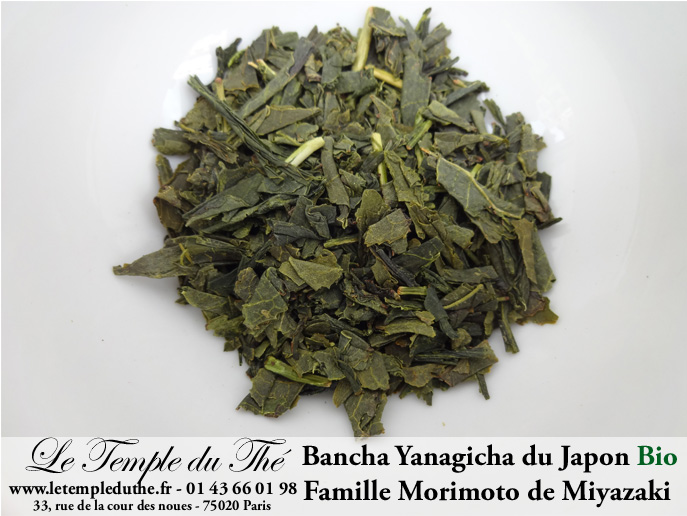 Thé vert du Japon BIO Bancha Yanagicha Printemps 2025 petits producteurs – Image 5