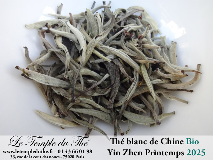 Thé blanc Yin Zhen BIO printemps 2025 Thé blanc Yin Zhen BIO printemps 2025